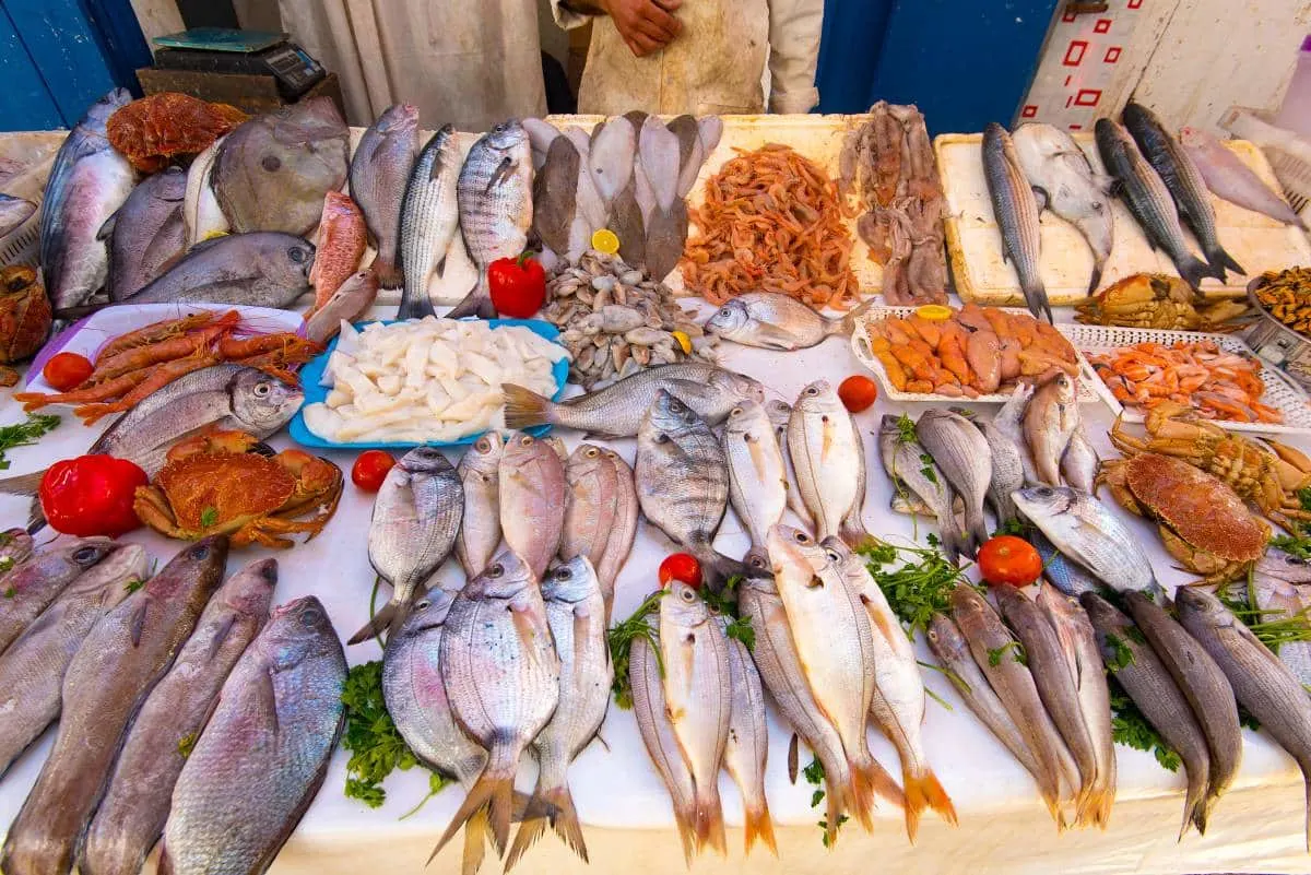 Essaouira Fish Market